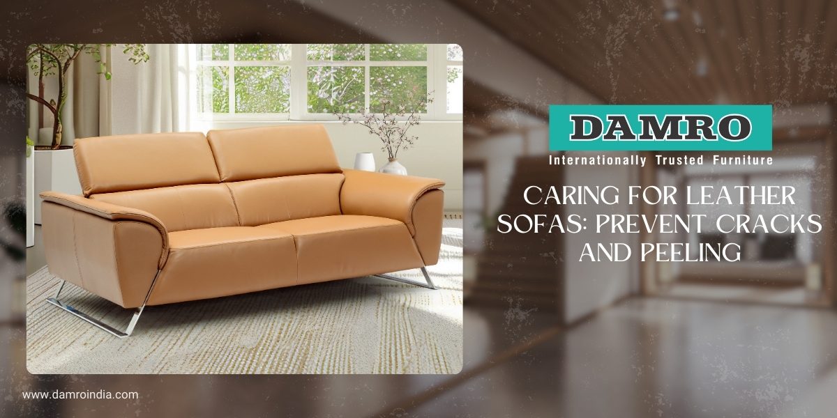 care for leather sofas in India