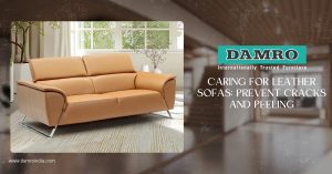 care for leather sofas in India